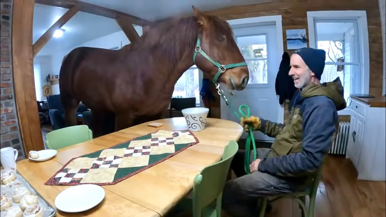 WHY is there a HORSE IN THE HOUSE?? // Coffee Break with Earl!! 412