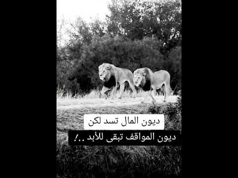 ديون المواقف تبقى للابد