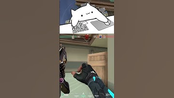 1v5 Ace on Save Round!