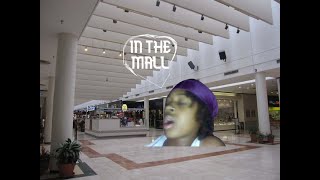 GOING TO THE MALL south dekalb mall