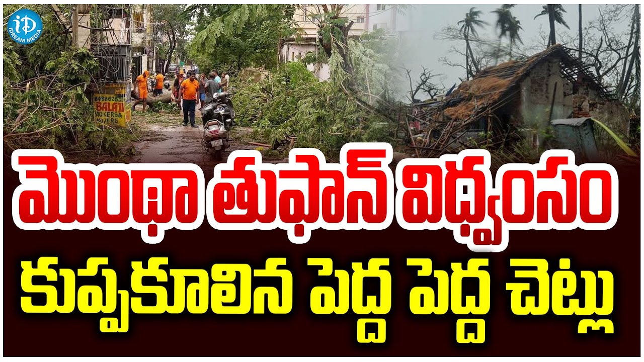 మొంథా తుఫాన్ విధ్వంసం : Montha Cyclone Update | Heavy Rains In AP # ...