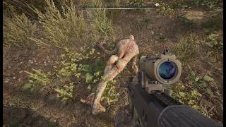 Live with STALKER 2 (Portrait)