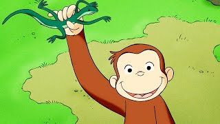 curious george curious george and the invisible sound wildbrain