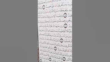 #اكسبلور #المصحف #حالات_واتس #الرحمن #راحة_نفسية #القزابري #لايك #nature ماتيسرمن سورة لقمان