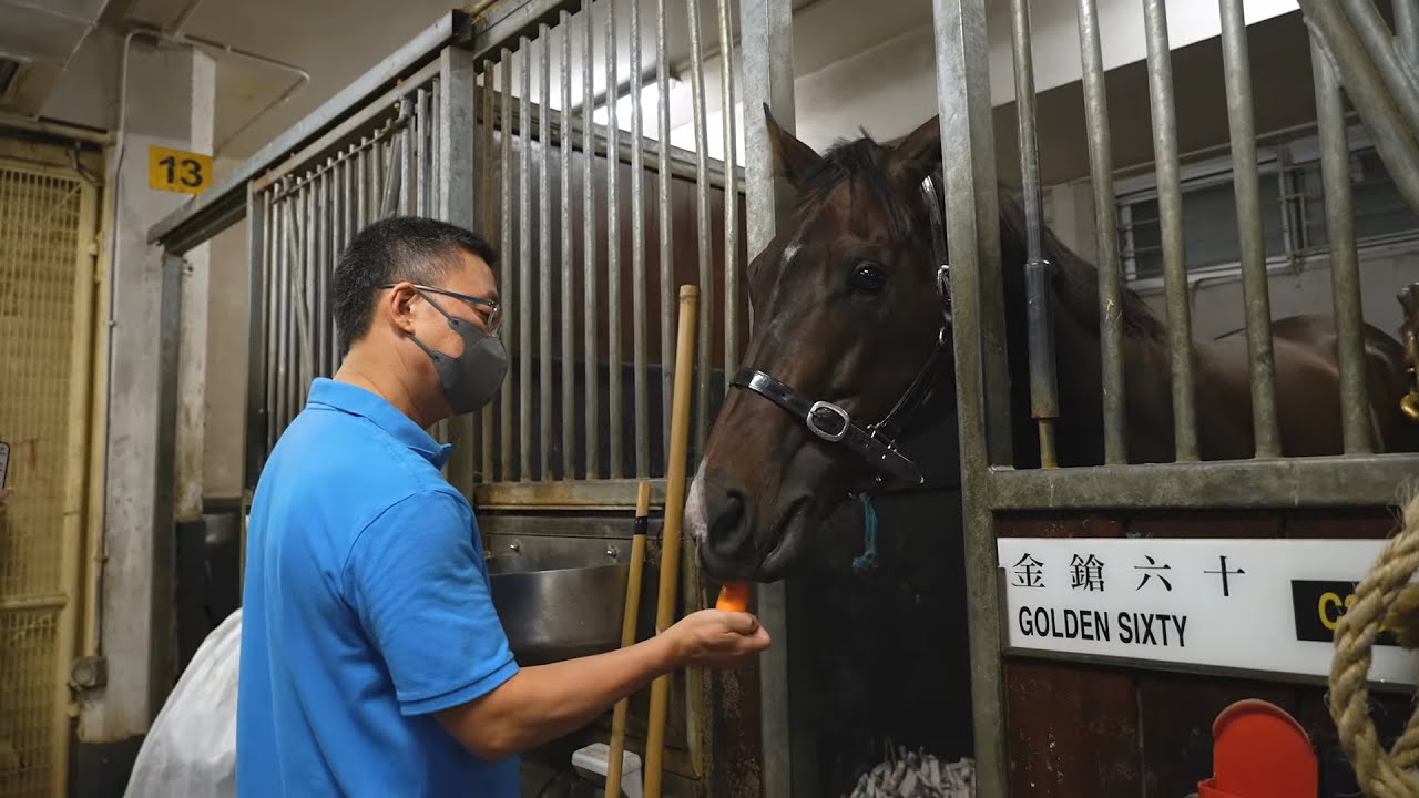 「金鎗六十」帶你遊馬房 - 暑假篇 / At the Stables with Golden Sixty - Summer Edition