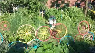 Summer solstice celebration at Smiling Hogs Head Ranch