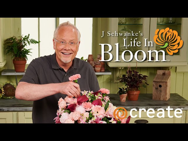 J Schwanke's Life in Bloom