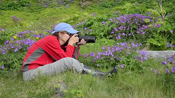 Around Iceland With National Geographic Photographer Annie Griffiths
