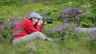 Around Iceland With National Geographic Photographer Annie Griffiths