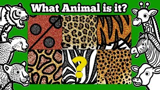 Can You Identify These Animals By Their Patterns? | Learn About Wild Animal's Unique Body Patterns