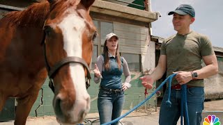 Preakness preview: Look inside a stable and meet a horse named Leroy | NBC4 Washington