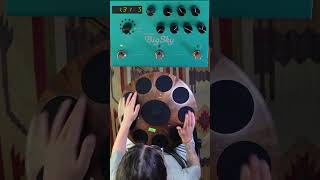 Neotone Digital Handpan + Strymon Big Sky (Magneto)