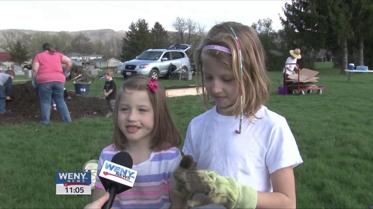 Pollinator Protectors Big Flats Elementary YouTube