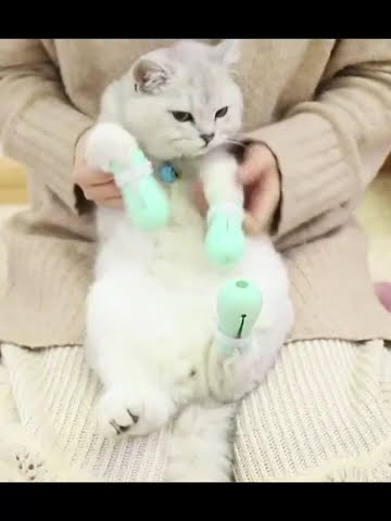 Adjustable Anti-Scratch Shoes for Cats