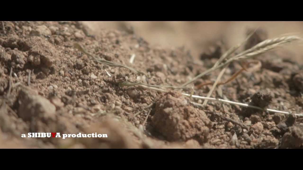 M-Cube - Points Of View (Official Video HD)