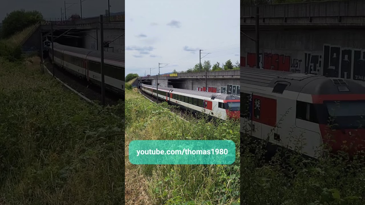 SBB Zugsichtungen bei Spreitenbach / Kanton Aargau / Schweiz 2023 /  #shorts