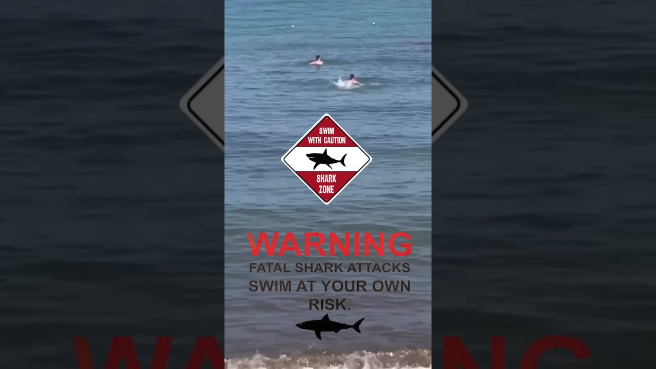 Tourists SCREAM As Great White Shark Strikes Turkish Shore 