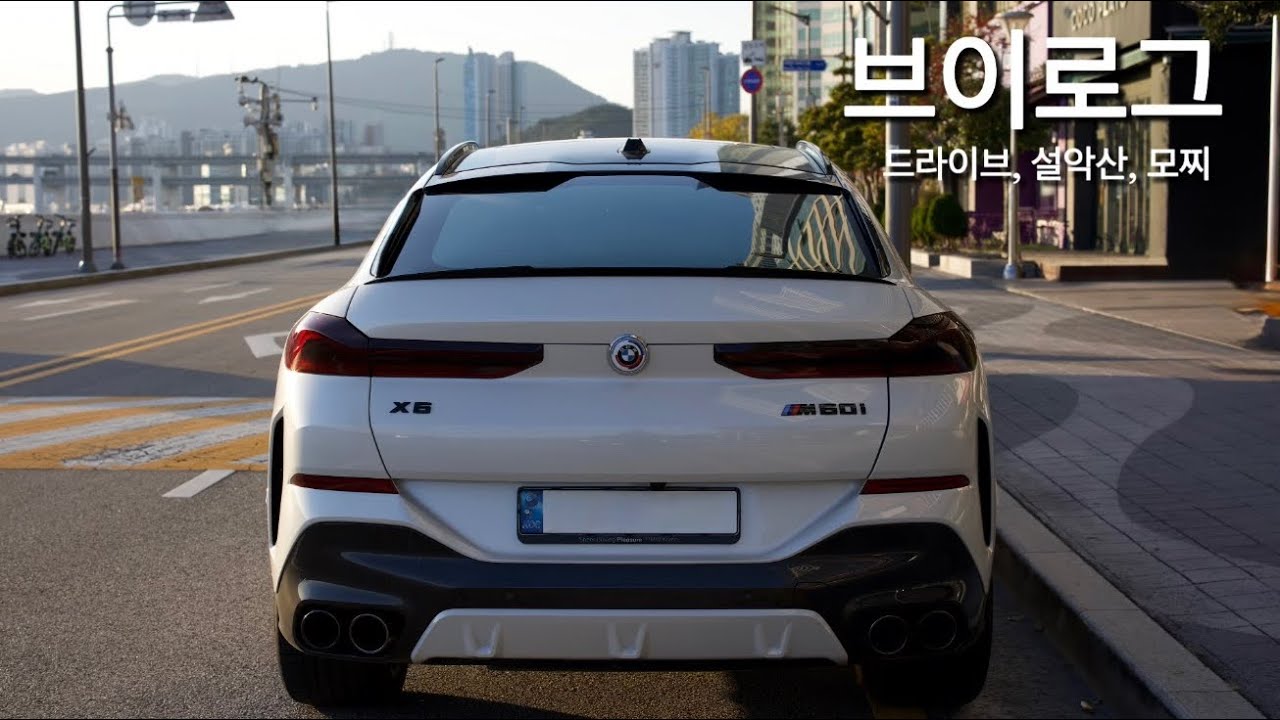 X6 트랙뷰 작업 및 ID8.5 분석 | 드라이브, 설악산, 등산, 포메라니안, 애견