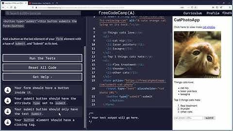 Add a Submit button to a Form Free Code Camp Org Basic HTML and HTML5