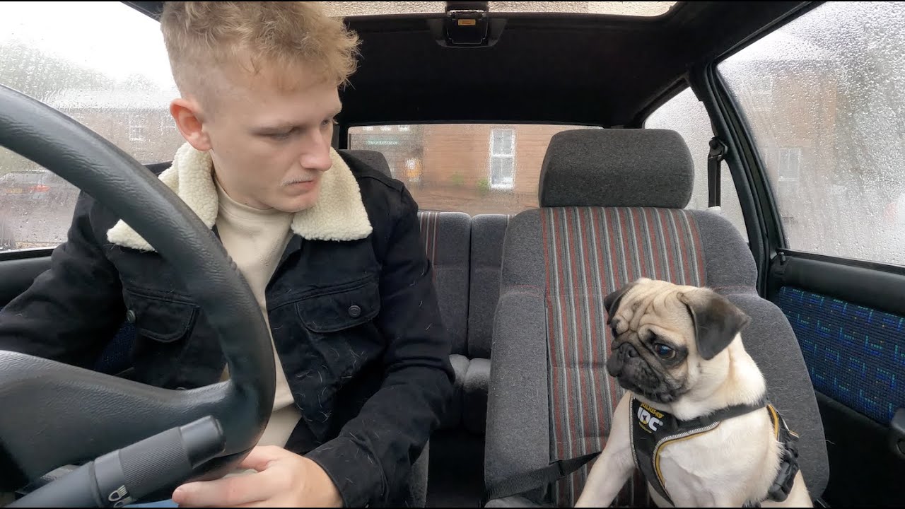 taking-stanley-for-his-annual-injections-youtube