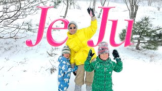 나영이네 겨울 제주 여행 브이로그☃️