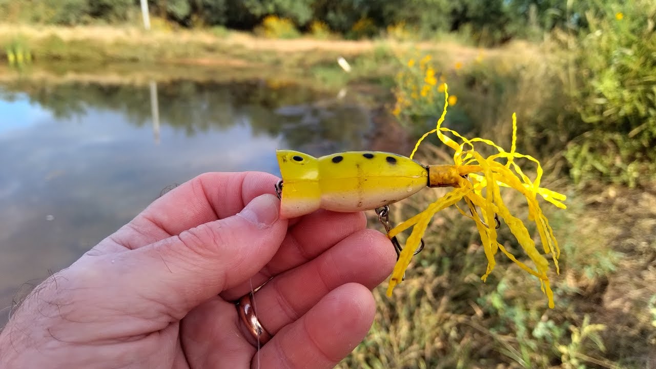 Vintage Berkley Frenzy Popper Topwater FISHING LURE Ready to Fish