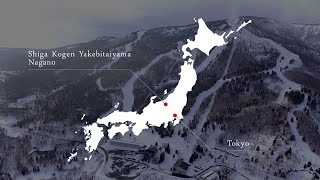 Skiing at Prince Snow Resorts, Shiga Kogen Yakebitaiyama