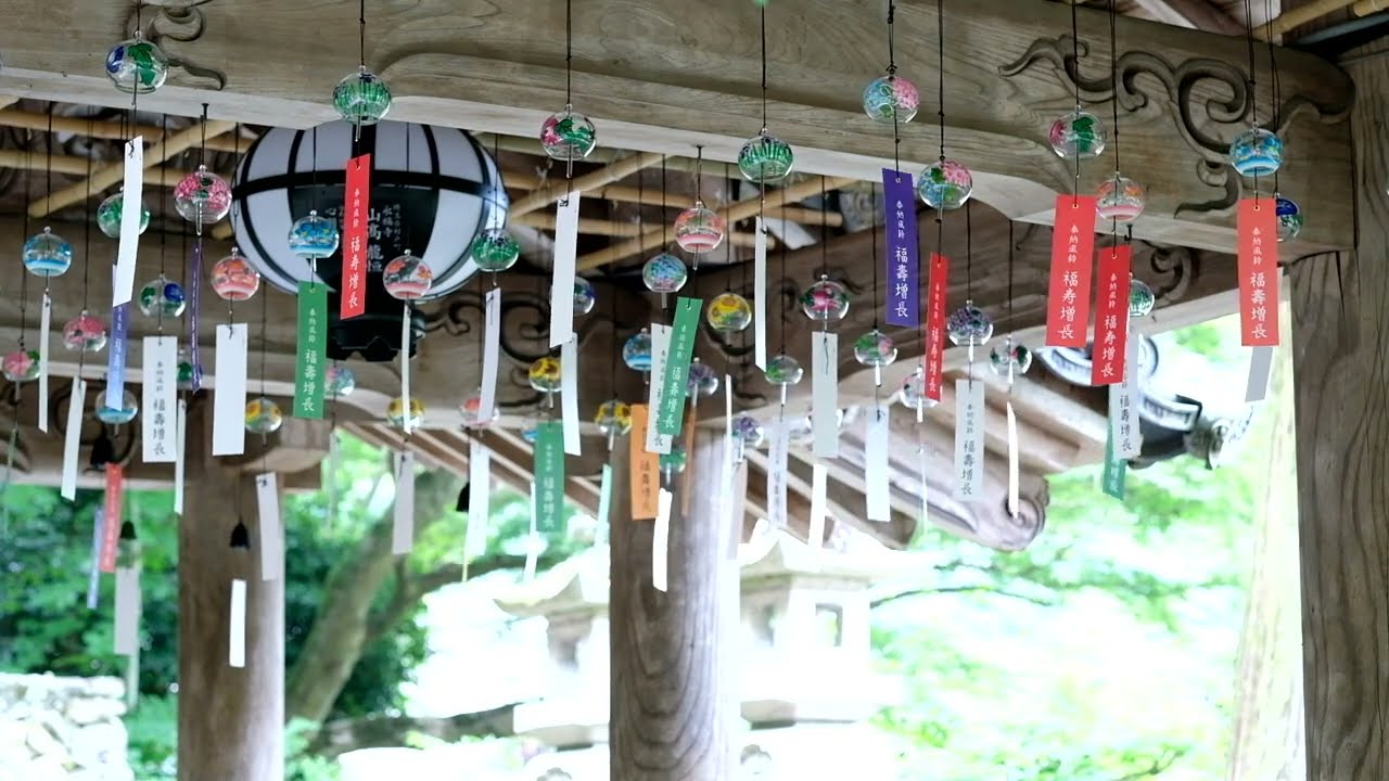 maxresdefault.jpg?sqp=-