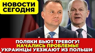 Поляки в шоке. Начались проблемы. Украинцы массово уезжают из Польши Новости сегодня Европа Германия