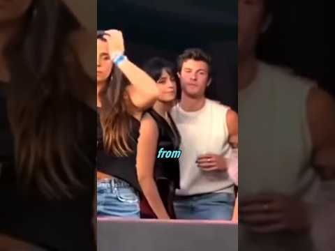 Shawn Mendes And Camila Cabello Can't Keep Their Hands Off Each Other At Taylor Swift Concert