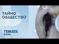 Темата на NOVA | Тайно общество | 16 май 2026