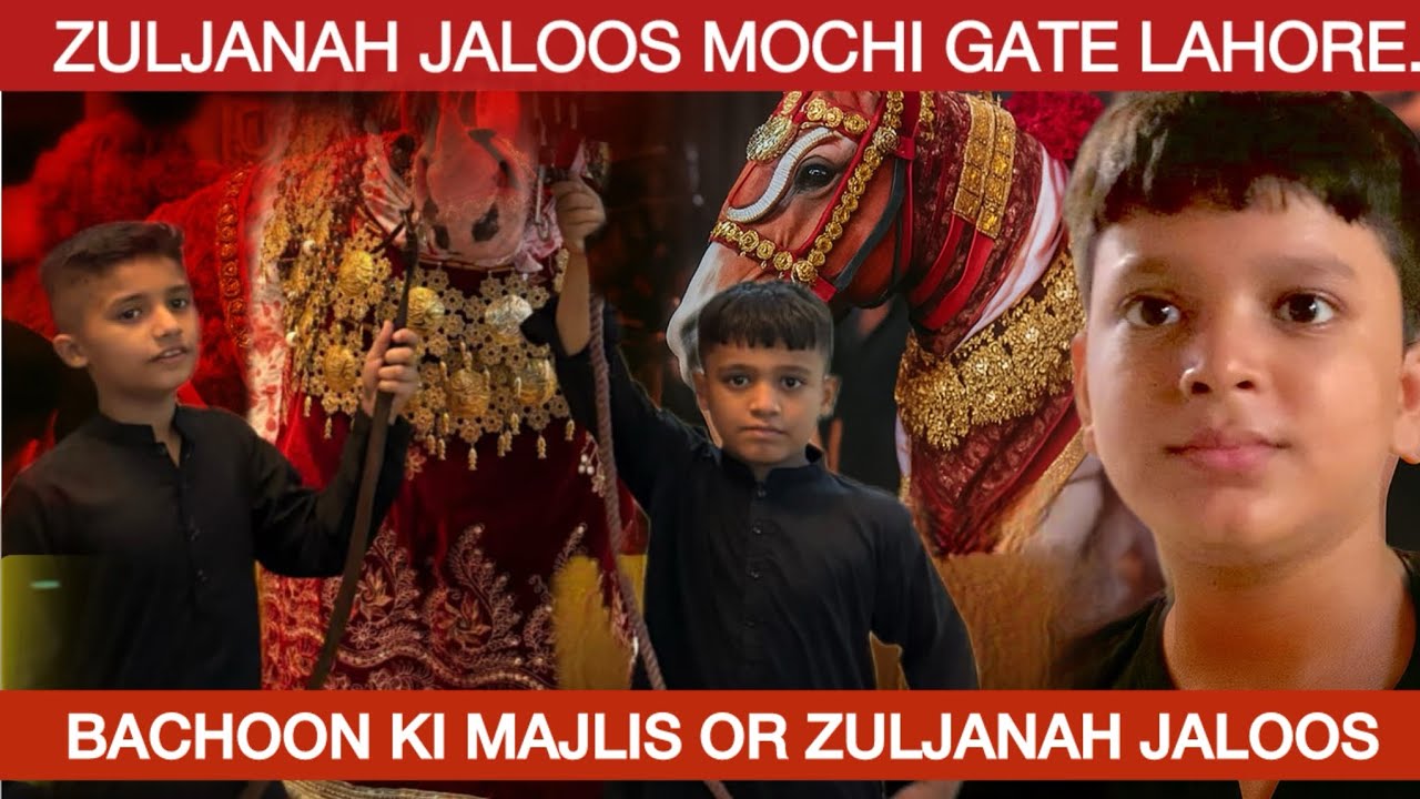 Bachoon Ki Majlis or Zuljanah Ka Jaloos - 7 Safar Mochi Gate Lahore #zuljanah #zuljanahvideos #fyp 