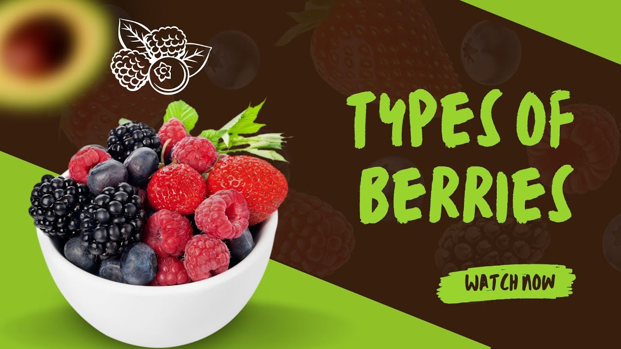 BERRIES 🍒 | Gooseberry, Blueberry, CRANBERRY, Types of berry videos ...