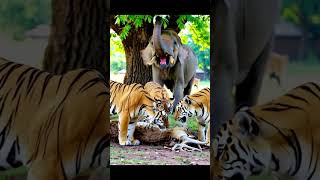Elephant Saves Deer from Tigers | AI Wildlife Rescue #Shorts