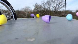 Bmx easter egg hunt