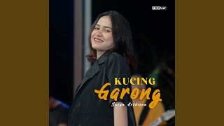 Kucing Garong