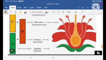CSIR NET JRF- SEPTEMBER 2022 SHIFT 1 # DEVELOPMENTAL BIOLOGY Q7