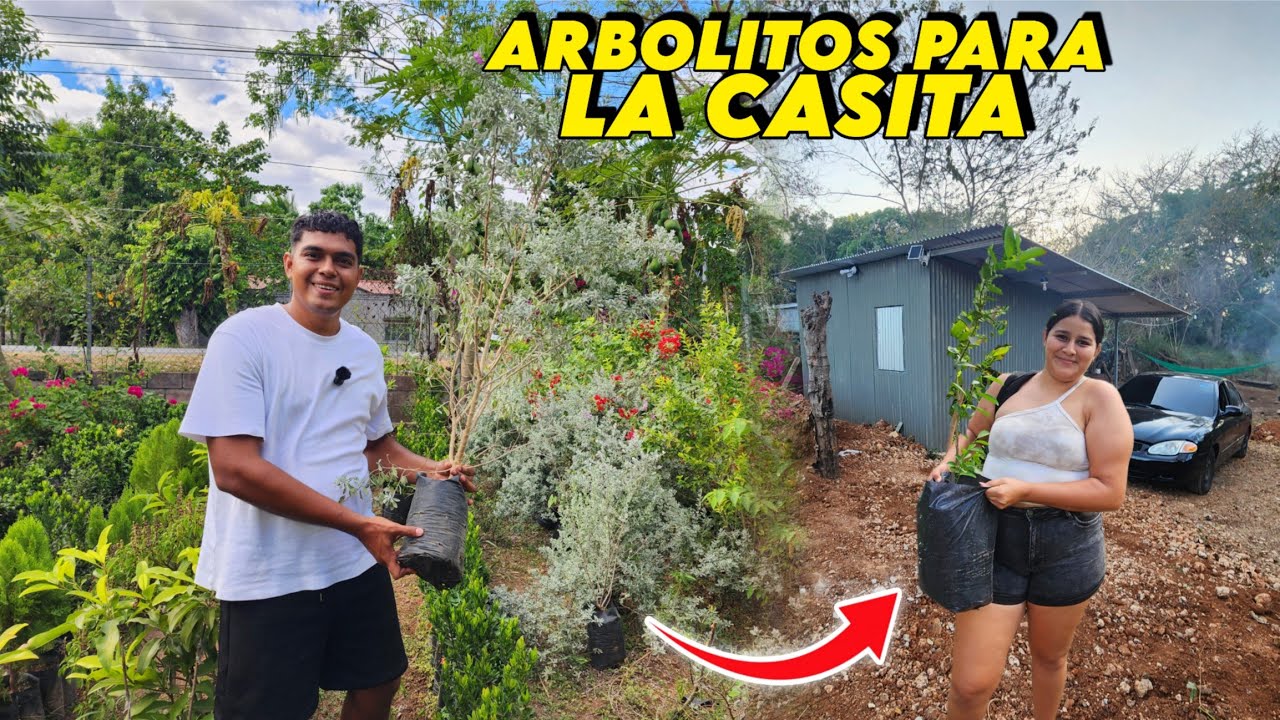 COMPRAMOS TODOS ESTOS ARBOLITOS PARA NUESTRA CASITA DE CAMPO 🤩🏡