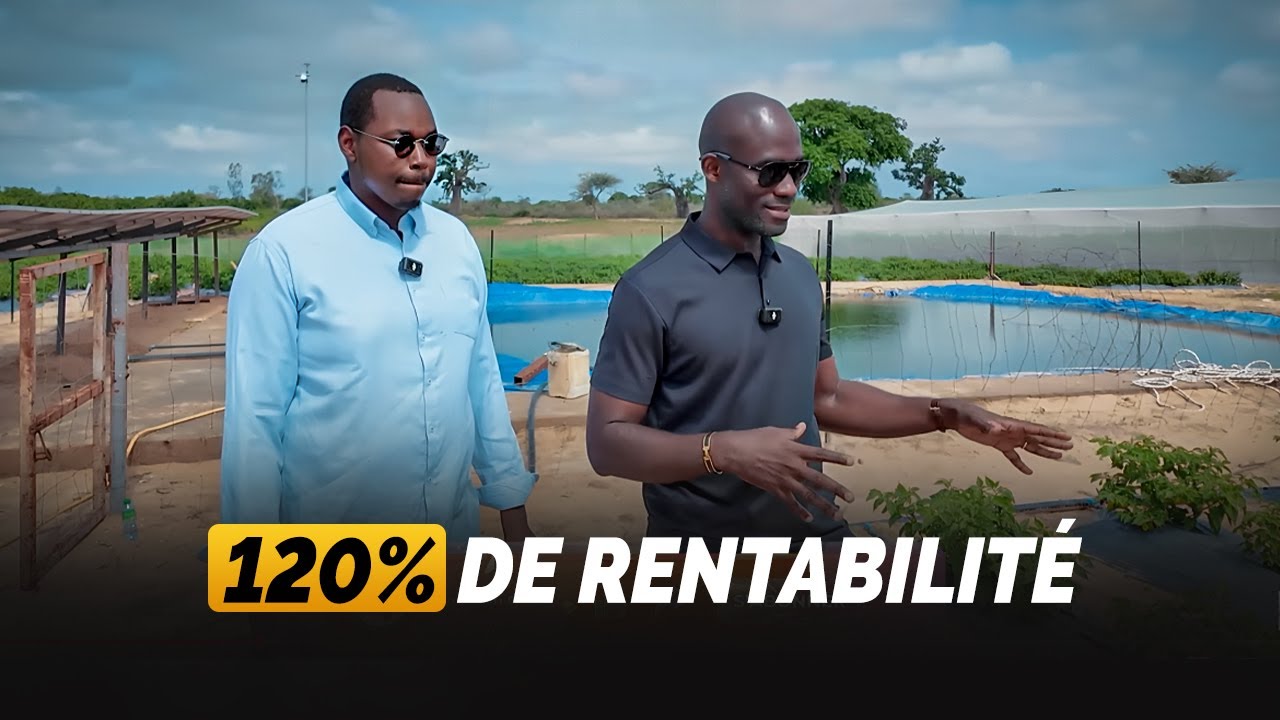Agriculture sous serre en Afrique = 120% de rentabilité 