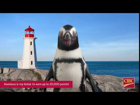 CIBC Aventura® | Travel when it’s right for you | :6s