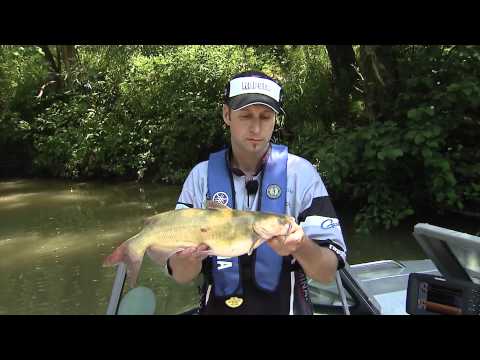Video Channel catfish fishing tips