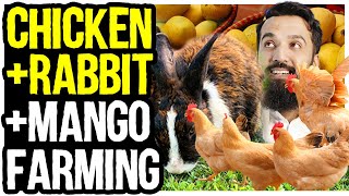 Chicken + Rabbit + Mango Farming | My Million Dollars Farming Idea