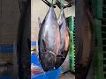 Behind the scenes of the biggest fish market in Osaka🐟 #japanesefood #大好物は高カロリー