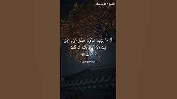 القرآن الكريم راحة نفسية تلاوة خاشعة حالات واتس اب قرآن كريم فارس عباد