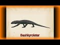 Palaeoperfil: Bashkyroleter, Parareptilia.