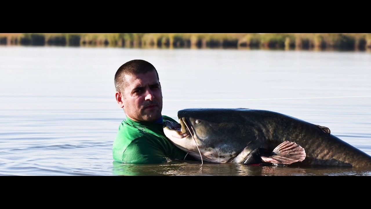 Hortobágyi Halgazdaság Zrt