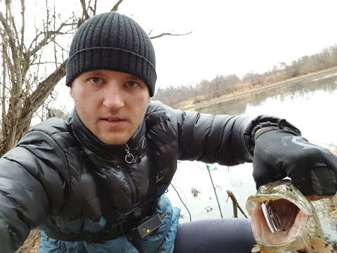 Ловля щуки в октябре на живца видео урок