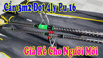 Cần 3m2 Đọt 4Ly Pu 16 Câu  Hồ Dịch Vụ Giá Rẻ Dành Cho Người Người Mới Tập Chơi