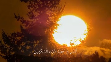 ماتيسر من سورة الزمر - القارئ عبد البديع غيلان