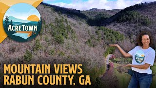 Cheap Land in Georgia in the Blue Ridge Mountains | Gorgeous Views | Natural Spring | 2.71 acres